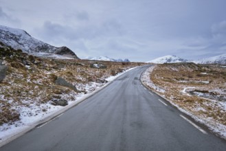 Road in Norwegian fjord. Lofoten islands, Norway, Europe