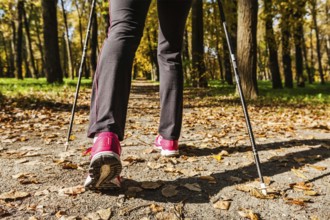 Nordic walking adventure and exercising concept, woman hiking, legs and nordic walking poles in