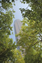 Messeturm 257m, view up, green, branches, deciduous tree, perspective, tower, Messe, Bockenheim,