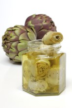 Artichoke (Cynara scolymus Cynara cardunculus) and heartspreserved in oil (Cynara scolymus, Cynara