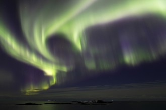 Northern Lights (Aurora borealis) in green and pink over the North Sea, Andøya, Vesterålen, Norway,