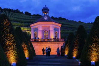 Illumination for the Summer Night Ball at Wackerbarth Castle. Wackerbarth Castle or Wackerbarths