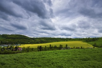 Fields near Pinkowitz