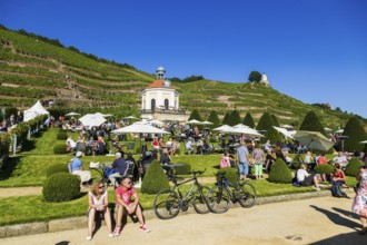 Wackerbarth Castle or Wackerbarths Ruh is a Baroque castle surrounded by vineyards in the