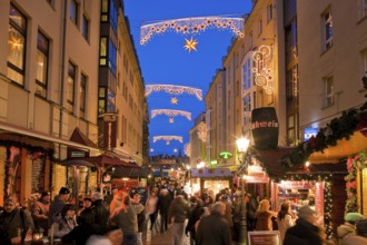 Christmas market in the Münzgasse in Dresden's Old Town in the immediate vicinity of the Church of