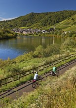 Cyclists on the Moselle cycle path with a view of the village of Bremm, Rhineland-Palatinate,