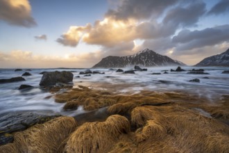 Coast near Skagsanden beach, Flakstad, Lofoten, Norway, Europe