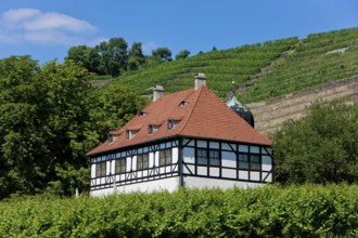 Radebeul House Hoflößnitz