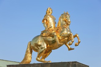 Golden Rider