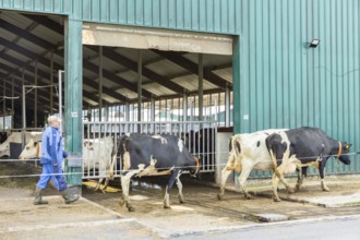 Federal Minister of Food and Agriculture, Cem Özdemir, visits Großdrebnitzer Agrarbetriebsges. mbH