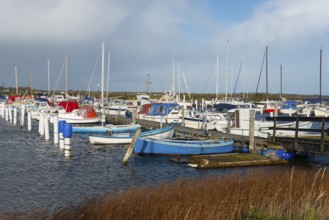 Marina, Egense, Mou, Aalborg, North Jutland, North Jutland, Limfjord, Kattegat, Denmark, Europe