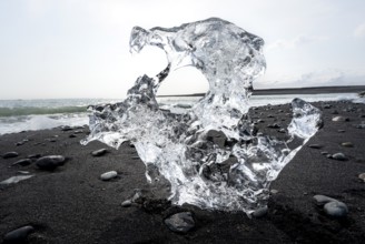 Ice, piece of ice on black sand beach, on black lava beach Diamond Beach, Southeast Iceland,