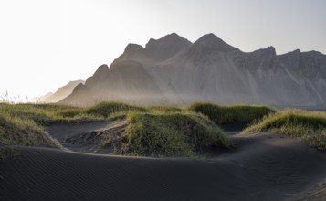 Black beach with volcanic sand, sandy beach, dunes with grass, Stokksnes headland, Klifatindur