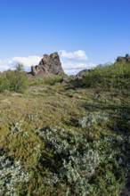 Volcanic rock formations, Krafla volcanic landscape, Dimmuborgir lava fields, Mývatn, Iceland,