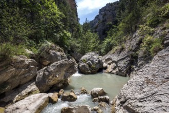 River L Estoublaisse, Trevans Gorge, Gorges de Trévans, near Estoublon, Alpes-de-Haute-Provence,