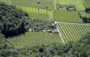 Fields and small huts from above, Sarca Valley, Garda Mountains, near Dro, Arco, Trentino-Alto