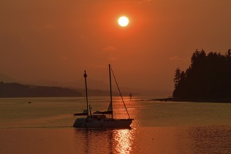 Sailing ship sailing along the Pacific coast in the sunset, Vancouver Island, Canada, North America