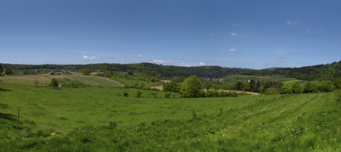 Landscape with orchard in the Black Forest near Emmendingen, Baden-Württemberg, Germany, Europe