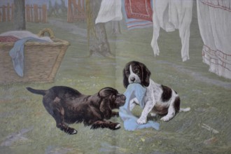 Young dogs at play, pulling laundry off the line. Colour print as art supplement Zur guten Stunde,