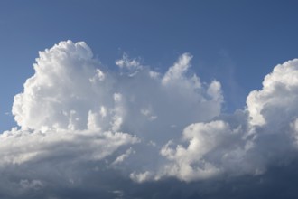 Dramatic cloud formation, fast rising (cumulus) clouds, filling the format, Baden-Württemberg,