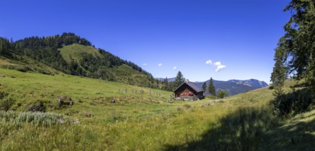 Alpine hut on the Niedergadenalm, Osterhorn Group, Salzkammergut, Land Salzburg, Austria, Europe