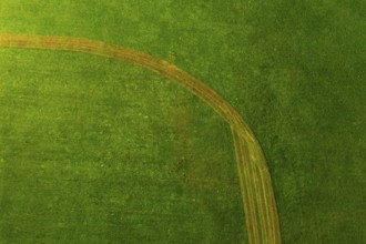 Drone image, structure of a mown meadow, from above, structure, agriculture, agricultural