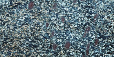 Marbled blue white stone slab, Abstract background, Graphic elements, Texture background, Austria,