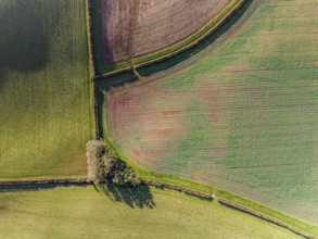 Top Down over Fields and Farms from a drone, Devon, England, United Kingdom, Europe