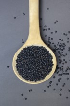 Black Beluga Lentils in Wooden Ladle