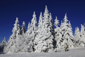 Winter landscape in the Fichtelgebirge, Bayreuth district, Upper Franconia, Bavaria, Germany,