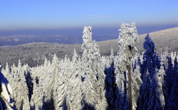 Winter landscape in the Fichtel Mountains, view from the Ochsenkopf, Bayreuth County, Upper