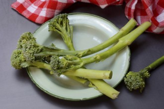 Bimi, broccolini, asparagus broccoli on plate