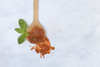 Cooking spoon with tomato sauce and basil leaf