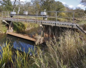 Dry fallen weir over a ditch, Middle Elbe Biosphere Reserve, Saxony-Anhalt, Germany, Europe