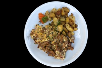 Fried potato with scrambled eggs on black background, Bavaria, Germany, Europe