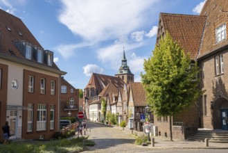 On the sea with St. Michael's Church in the background, Lüneburg, Lower Saxony, Germany, Europe