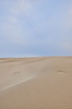 Beach "Platja del Fangar", sand dunes, Vegetation, nature reserve, ebro delta, Catalonia, Spain,