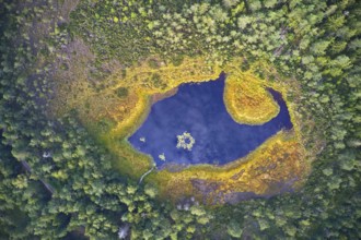 Small moorland lake with deep blue water and yellow shore vegetation photographed deep in the