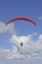 Paraglider in flight with red wing, canopy against blue cloudy sky, Brittany, France, Europe