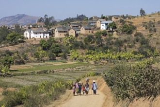 Rural village in the Betsileo region near Fianarantsoa, Haute Matsiatra, Madagascar, Southeast