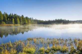 Wafts of mist over the mirror-smooth mire lake Étang de la Gruère in the canton of Jura,