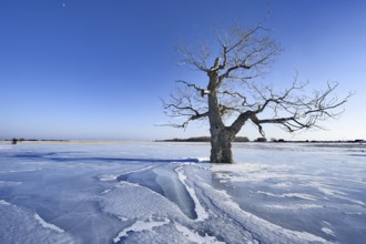 Lake Baikal, Pribaikalsky National Park, Irkutsk Province, Siberia, Russia, Europe