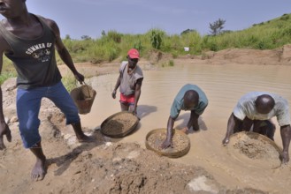 Diamond hunters searching for diamonds in a mine with sieves, near Koidu, Koidu-Sefadu, Kono