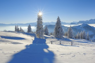 View from the Rigi, Glarus Alps, Switzerland, Europe