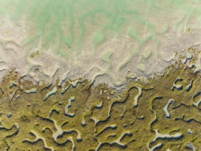 Network of channels and streams at low tide, in the marshland of the Bahía de Cádiz, aerial view,