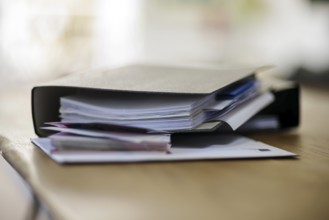 Symbolic photo on the subject of files. File folders lie on a table. Berlin, 13.08.2024