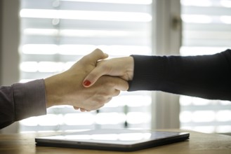 Symbol photo on the subject of concluding a contract. Handshake between man and woman over a tablet