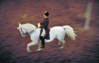 Rider at the Spanish Riding School, Vienna, Austria, Europe