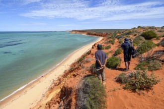 Hiker near Cape Perón, François Péron National Park, near Denham, Shark Bay, State of Western