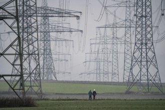 Large power line, 380 KV extra-high voltage lines, near Rommerskirchen, in the fog, winter, walkers